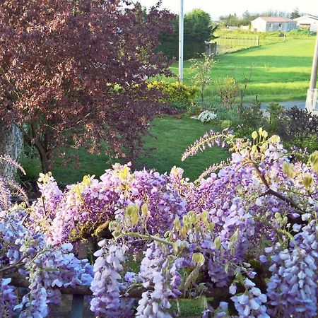 Les Glycines Bed & Breakfast Eymet Exterior photo
