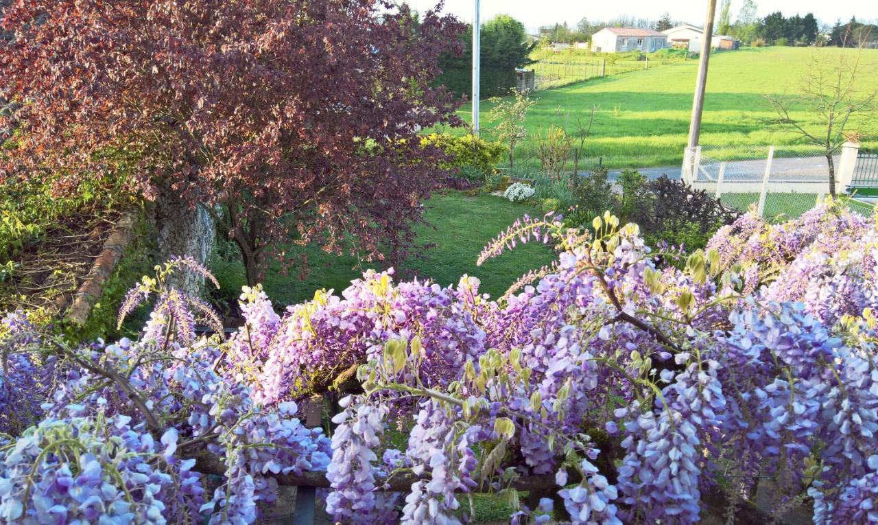 Les Glycines Bed & Breakfast Eymet Exterior photo